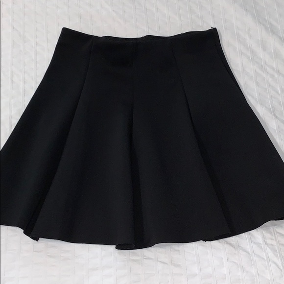 Zara Dresses & Skirts - ZARA skater skirt